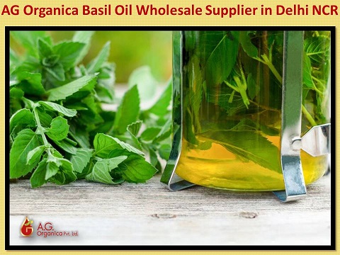 Uses of basil oil in cosmetics and wellness