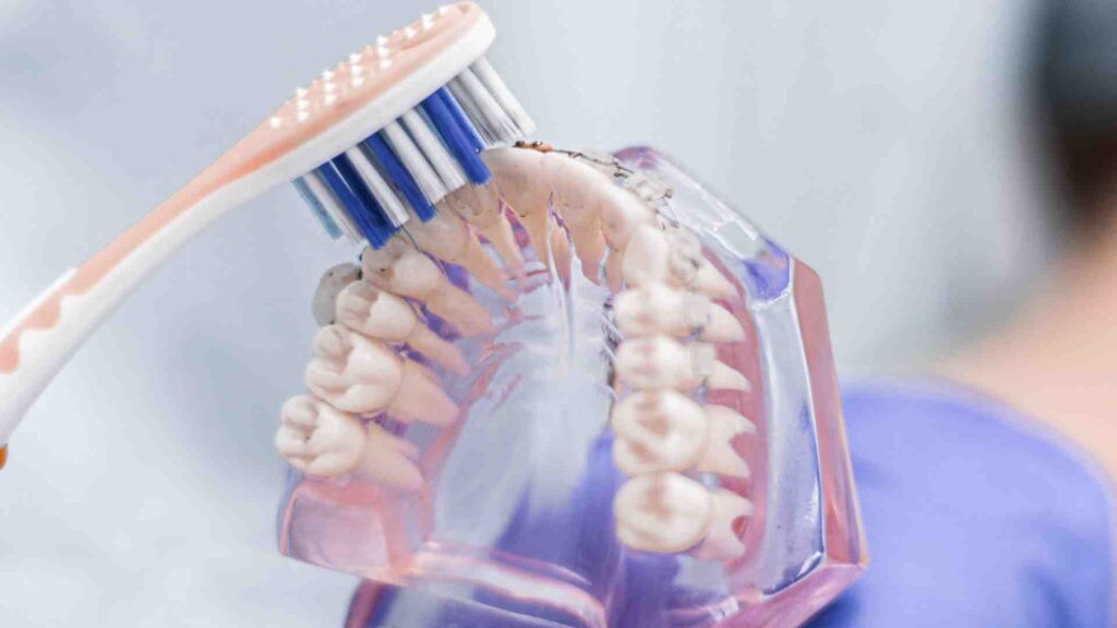 Trouver le bon hygieniste dentaire peut sembler un peu intimidant, surtout si vous êtes nouveau à Genève ou si vous cherchez quelqu’un en qui vous pouvez avoir confiance pour prendre soin de votre sourire. Mais ne vous inquiétez pas ; choisir le bon hygieniste ne se résume pas seulement aux qualifications ou au prix. Il s’agit de trouver quelqu’un qui vous met à l’aise, qui comprend vos besoins et qui vous aide à garder une bouche saine sans stress. Si vous vous êtes déjà demandé : “Comment commencer à choisir un bon hygieniste dentaire à Genève ?”, vous êtes au bon endroit.

Pourquoi est-il important de bien choisir son hygieniste dentaire ?

Je me souviens, quand j’ai emménagé à Genève, je ne réalisais pas à quel point il était important de trouver un hygieniste qui corresponde à mes besoins. J’ai assisté à plusieurs rendez-vous où l’hygieniste expliquait à peine ce qu’il faisait, ce qui me rendait un peu anxieux et incertain de bien prendre soin de mes dents.

Un hygieniste dentaire fait plus que nettoyer vos dents. Il aide à prévenir les maladies des gencives, détecte les problèmes précoces et vous enseigne comment garder votre bouche saine entre les visites. Choisir le bon professionnel signifie que vous recevrez un soin personnalisé adapté à votre mode de vie, et cela fait toute la différence.

Que rechercher pour choisir un hygieniste dentaire à Genève ?

Avant tout, assurez-vous que votre hygieniste est qualifié et autorisé à exercer en Suisse. C’est toujours un bon signe quand il suit régulièrement des formations continues. Certains cabinets proposent même des traitements spécialisés, ce qui peut être utile si vous avez des préoccupations dentaires spécifiques.

Trouver quelqu’un près de chez vous ou de votre lieu de travail peut faire une grande différence. J’ai eu une amie qui avait choisi un excellent hygieniste, mais elle devait traverser toute la ville à chaque rendez-vous. Après quelques mois, le trajet est devenu compliqué et elle a arrêté d’y aller régulièrement.

Genève offre beaucoup d’options, alors cherchez des cabinets dans les quartiers que vous fréquentez souvent. Un trajet court facilite le respect des rendez-vous et réduit le stress.

Tous les hygienistes ne proposent pas la même gamme de services. Certains se concentrent surtout sur le nettoyage, tandis que d’autres donnent des conseils sur le blanchiment, les scellants dentaires ou collaborent avec des dentistes pour des traitements plus complexes.

Vous voulez quelqu’un qui écoute et répond à vos questions. Lorsque j’ai trouvé mon hygieniste, elle prenait le temps d’expliquer chaque étape et m’a même donné des conseils sur le fil dentaire qui ont vraiment fonctionné pour moi. Cela m’a rendu confiant et bien pris en charge.

Les avis en ligne peuvent vous donner une bonne idée de ce à quoi vous attendre. Cherchez des commentaires sur la façon dont l’hygieniste interagit avec les patients et la qualité des soins. Vous pouvez aussi demander à vos amis ou collègues à Genève s’ils ont un hygieniste en qui ils ont confiance.

Histoire vraie : De la peur au confort

J’étais nerveux avant les visites dentaires. Une fois, j’ai eu une mauvaise expérience où l’hygieniste a fait le nettoyage trop rapidement, et je suis parti mal à l’aise. Puis, un ami m’a recommandé un hygieniste près de Carouge, calme, patient, et qui expliquait tout clairement.

Ce changement a fait une grande différence. L’hygieniste m’a montré la bonne technique de brossage et m’a aidé à comprendre de petits changements qui ont amélioré ma santé bucco-dentaire. Maintenant, les visites dentaires sont moins une corvée et plus une partie de ma routine bien-être.

Questions à poser à votre futur hygieniste

Quand vous prenez votre premier rendez-vous, n’hésitez pas à poser des questions telles que depuis combien de temps il pratique à Genève, quels types de traitements il propose en plus du nettoyage, s’il travaille en collaboration avec des dentistes pour des soins plus complexes, et comment il met les patients à l’aise pendant les traitements.

Préoccupations fréquentes quand on choisit un hygieniste dentaire

Beaucoup de personnes ne savent pas à quoi s’attendre lors de leur première visite chez un hygieniste dentaire. Vous pouvez vous demander si le nettoyage sera douloureux ou si vos dents sont trop sensibles pour certains traitements. Ces questions sont tout à fait normales.

Quand j’ai visité mon hygieniste pour la première fois à Genève, j’étais inquiet à cause de la sensibilité de mes dents, n’ayant pas été régulier avec mes contrôles dentaires avant. Cependant, elle a pris le temps d’écouter, d’ajuster les outils qu’elle utilisait, et elle a veillé à ce que je sois à l’aise tout au long du rendez-vous. Si vous êtes nerveux, n’hésitez pas à le dire à votre hygieniste ; un bon professionnel sera patient et doux.

À quelle fréquence faut-il voir un hygieniste ?

Beaucoup demandent : “À quelle fréquence dois-je faire nettoyer mes dents ?” La réponse dépend de votre santé bucco-dentaire. Certaines personnes bénéficient de visites tous les six mois, d’autres, avec des problèmes spécifiques, peuvent avoir besoin de soins plus fréquents.

Votre hygieniste doit vous aider à déterminer le meilleur rythme. Lorsque j’ai commencé les visites régulières, mon hygieniste m’a conseillé un intervalle de quatre mois à cause de signes précoces d’irritation des gencives. Cela m’a aidé à prévenir des problèmes plus graves.

Qu’est-ce qui rend Genève unique pour les soins dentaires ?

Genève est reconnue pour ses normes élevées en matière de santé, et les soins dentaires ne font pas exception. Beaucoup de cabinets allient technologie moderne et service accueillant. Vous trouverez des hygienistes qui parlent plusieurs langues, ce qui facilite la communication si vous êtes expatrié ou nouveau dans la région.

Comme la ville attire des personnes du monde entier, de nombreux professionnels dentaires savent s’adapter aux différentes cultures et préférences. Cela peut rendre votre expérience plus confortable et adaptée à vos besoins, même si vous ne parlez pas couramment le français.

Choisir un hygieniste dentaire à Genève est une décision personnelle. Il s’agit de trouver quelqu’un en qui vous avez confiance, qui respecte vos préoccupations et qui peut vous guider pour garder une bonne santé bucco-dentaire. Ne vous précipitez pas. Prenez le temps de rencontrer plusieurs hygienistes, posez des questions, et trouvez celui qui vous convient. N’oubliez pas, de bons soins dentaires, ce n’est pas seulement un nettoyage occasionnel. C’est une question de santé à long terme et de confiance en soi. Un sourire sain commence avec la bonne équipe. Êtes-vous prêt à trouver la vôtre ?

FAQ

1. À quelle fréquence dois-je voir un hygieniste dentaire ?

En général tous les six mois, mais cela peut varier selon votre santé bucco-dentaire. Certains ont besoin de visites plus fréquentes.

2. Que fait un hygieniste dentaire ?

Il nettoie les dents, examine les gencives, enlève la plaque et donne des conseils pour prendre soin de votre bouche.

3. Le nettoyage est-il douloureux ?

La plupart du temps non. Si vous ressentez une gêne, dites-le à votre hygieniste pour qu’il ajuste son intervention.

4. Comment trouver un bon hygieniste à Genève ?

Vérifiez ses qualifications, lisez les avis, regardez la localisation et choisissez quelqu’un qui vous met à l’aise.

5. Les hygienistes peuvent-ils aider avec les dents sensibles ?

Oui, ils proposent des nettoyages doux et des conseils pour gérer la sensibilité.