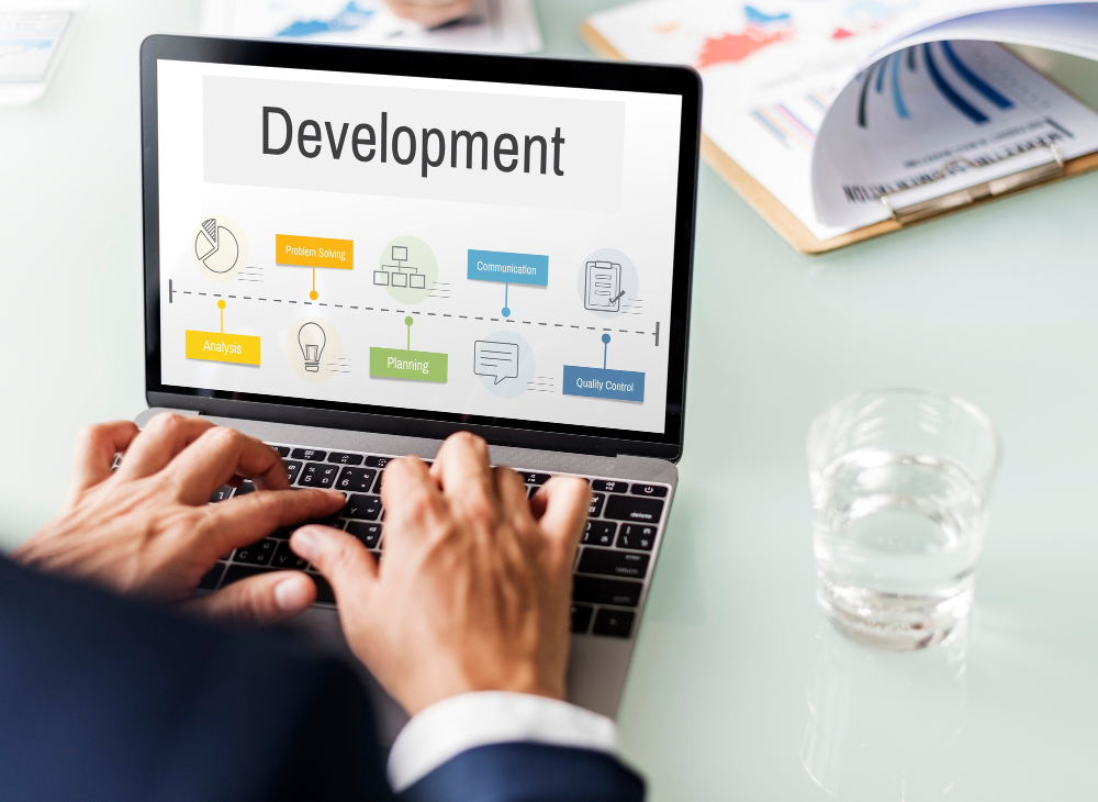 software development