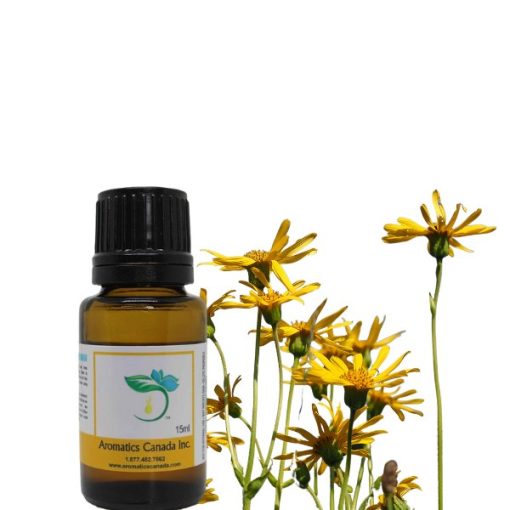 Galbanum Essential Oil