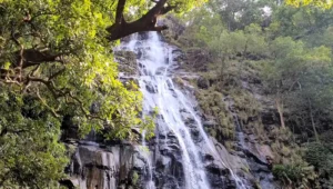 Pachmarhi Family Tour Packages