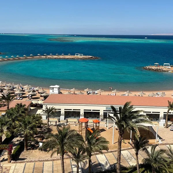 Red Sea Diving Adventure