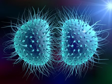 SSI eligibility for meningitis