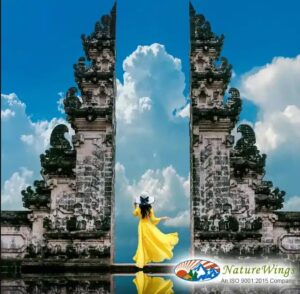 bali-package-tour-from-kolkata