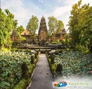 bali-packages-from-kolkata
