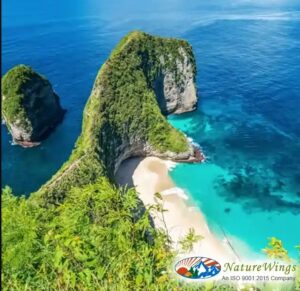 bali-tour-from-kolkata