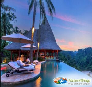 bali-tour-package-from-kolkata