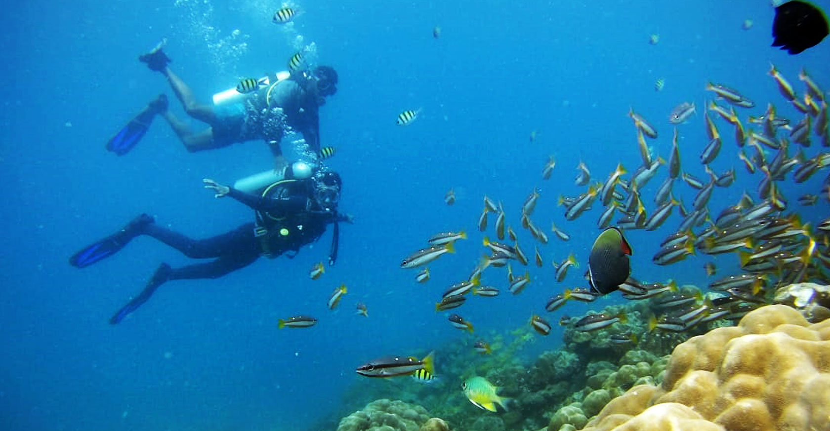 Andaman Tour Package from kolkata