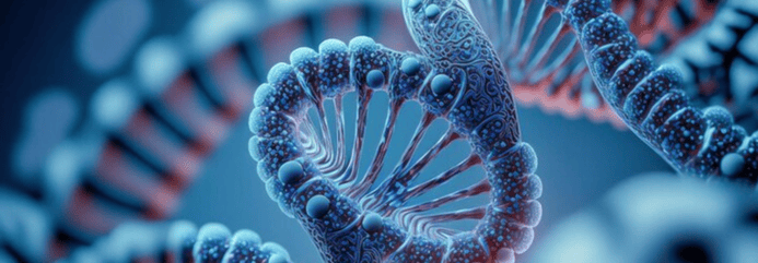 Bovine Serum Albumin