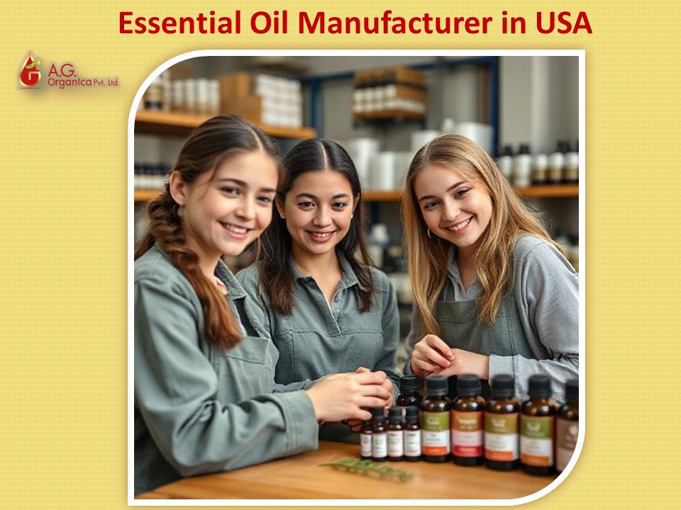 Cosmetic Bulk Exporter or Cosmetic Wholesale Exporter