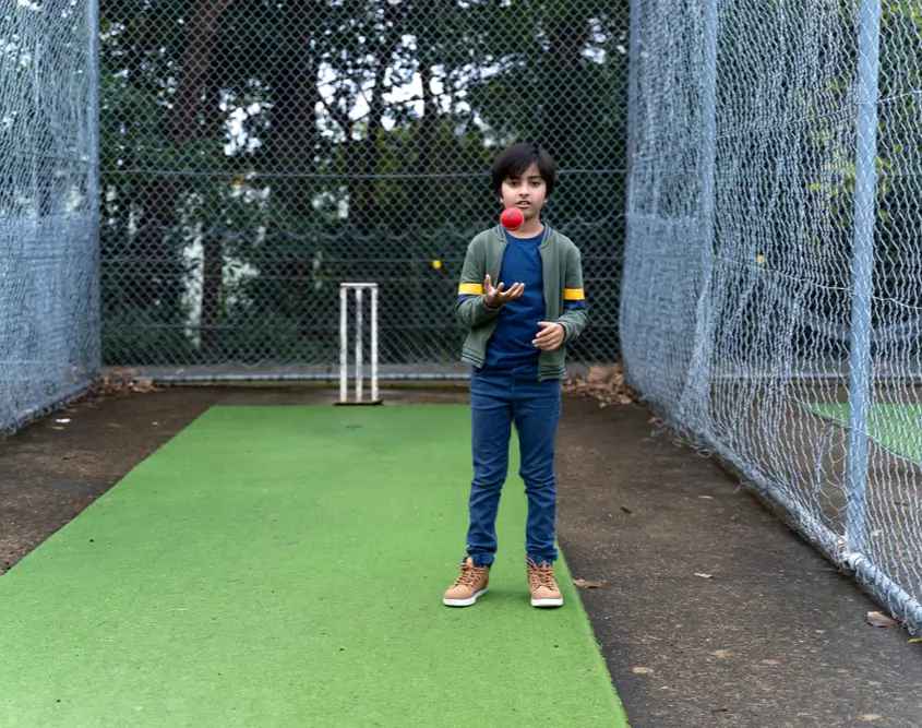 Backyard Cricket Nets