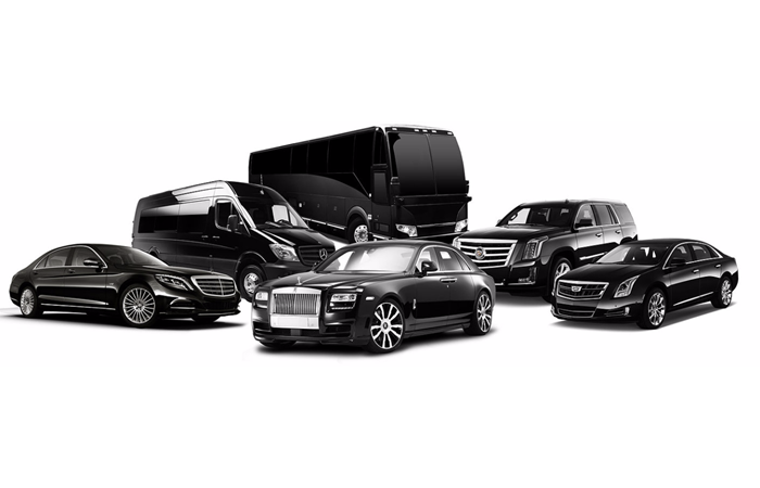 Leading U.S. Limousine Services You Can Trust in 2025
