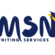 msnwritingservices