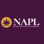 Profile picture of naplimited