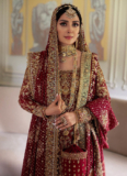 The Enchantment of Pakistani Bridal Dresses