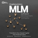 How can investors assess a cryptocurrency MLM software development company’s transparency and security?