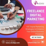 The Growing Importance of SMO Services in Delhi for Online Success