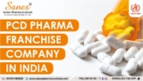 Key Actions Every PCD Pharma Franchise Owner Must Take