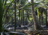  Thiruvananthapuram Travel Guide: The Jewel of Kerala