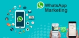 How to Do WhatsApp B2B Marketing in India: A Complete Guide