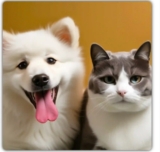 Open the Mysteries of Amazing Pet Preparation