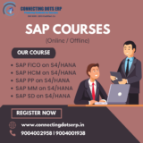 Is an SAP Course in Mumbai the Right Choice for Career Changers?