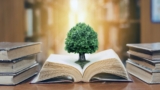 The Wisdom of Elders: Learning from the Life Experiences of Seniors