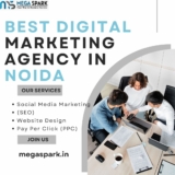 Elevate Your Online business with The Best Digital Marketing Agency in Noida