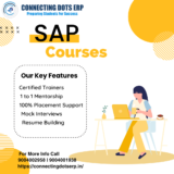 Why Should I Choose the Best SAP MM Course in Pune with placement for My Career?