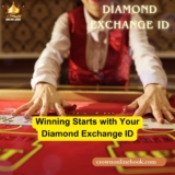 Winning Big with Diamond Exchange ID and earn unlimited money