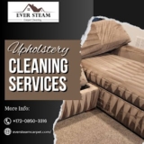 Upholstery Cleaning Services in Denver, CO: The Complete Guide by Ever Steam Carpet Cleaning LLC