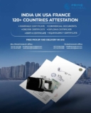 Reliable Diploma Certificate Attestation in UAE – Free Pickup & Delivery