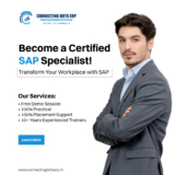 How to Transition to a Career in SAP: Finding the Best SAP Training Institute in Pune