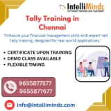 Mastering Business Accounting: Why Tally Training is Essential for Your Career