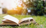 Exploring the Dark World of Crime Series Books: A Journey into Thrills and Twists