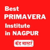 HOW TO SELECT BEST PRIMAVERA P6 INSTITUTE ?