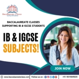 IB Maths Online Tutor | IB Maths Tuition | IB Maths Tutor – Baccalaureate Classes