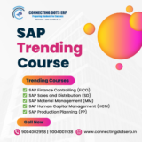 Launch Your Career with SAP MM Course in Mumbai: Training, Fees, and 100% Placement Support