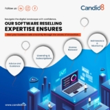 Software Resellers in the USA: The Bridge Between Innovation and Accessibility