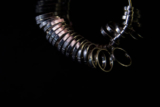 Find Your Perfect Fit: Poet Robson’s Ultimate Ring Size Guide