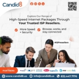 How Candid8 is Redefining the Role of an Internet Reseller: A Trusted Partner for     Business Growth