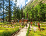 Himachal Pradesh for Foodies: Family Tour Packages for Culinary Exploration