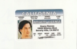 Buy a Fake Driver’s License: What You Need to Know