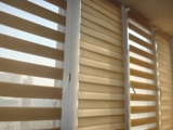 Zebra Blinds: Modern Light Control Solutions
