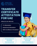 School Certificate Attestation Process in UAE Explained