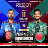 How to Connect with Reddy Anna: Your Guide to Customer Care Numbers.