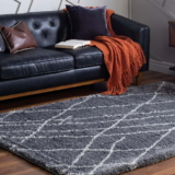 How Can Persian Rugs Transform Your Space and Reflect Your Style? Discover Now!