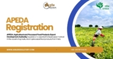 Why APEDA Registration is Essential for Food Exporters