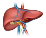 Acute Pancreatitis in Tirunelveli: Causes, Symptoms & Care