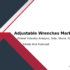PETG Shrink Film Market Insights, Outlook & Future Projections 2032